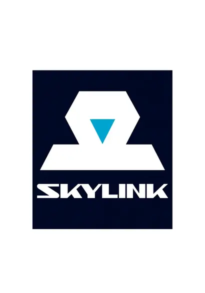 Skylink TV channel